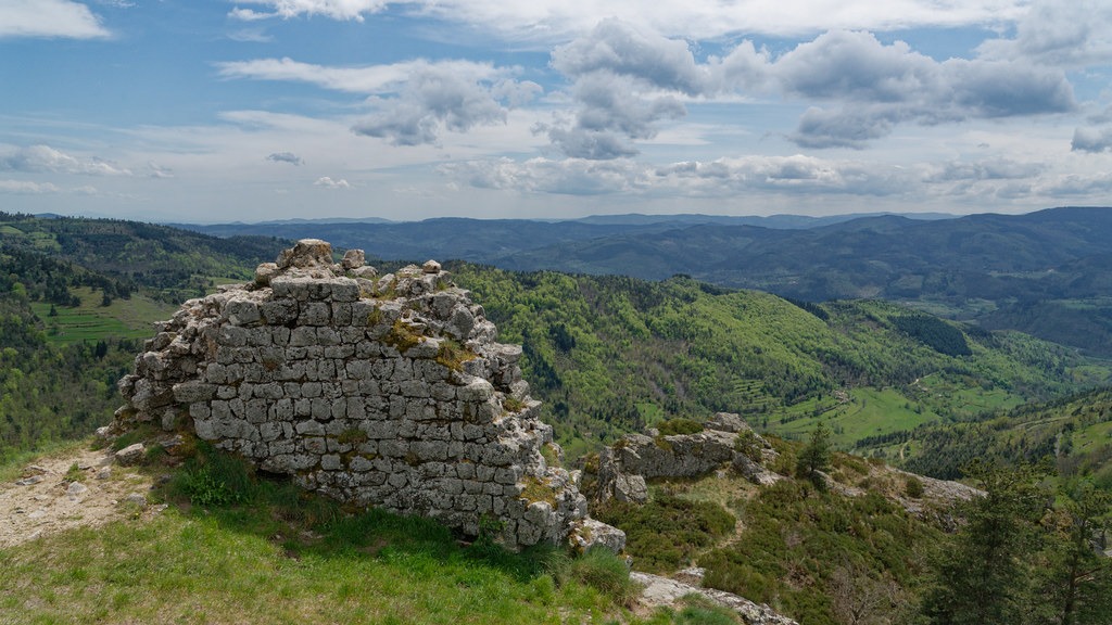 51878586961_a7cd528280_b